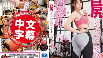 DASD-440 巨尻緊身褲的誘惑 西野翔